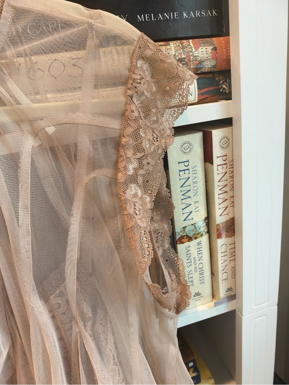 Anthropologie Sheer Lace Flutter Top — Blush Pink - Picture 6 of 11
